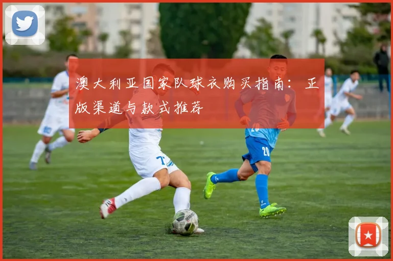 澳大利亚国家队球衣购买指南：正版渠道与款式推荐