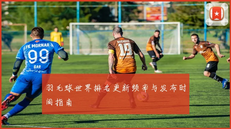 羽毛球世界排名更新频率与发布时间指南