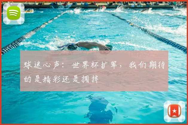 球迷心声：世界杯扩军，我们期待的是精彩还是拥挤