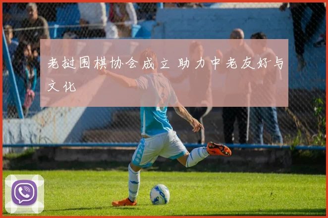 老挝围棋协会成立 助力中老友好与文化