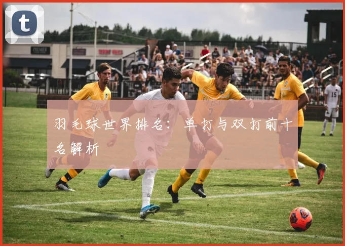 羽毛球世界排名：单打与双打前十名解析