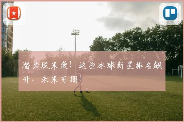 潜力股来袭！这些冰球新星排名飙升，未来可期！
